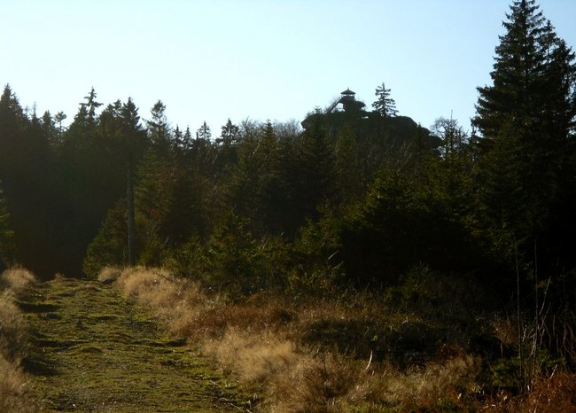 schüssel großer waldstein.jpg