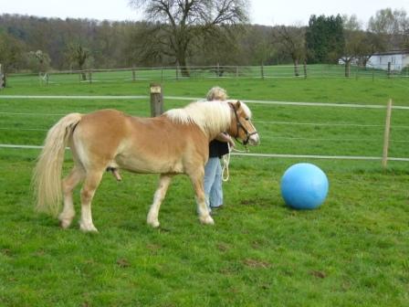 Tanja und Amor spielen Fußball