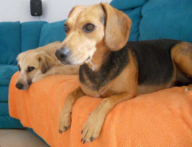 DSCN1798.JPG