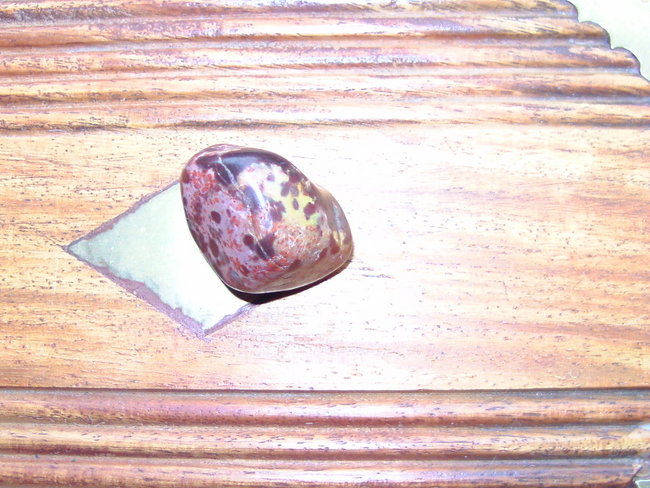 BILD0332.JPG