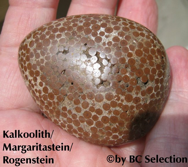 rogenstein004.jpg