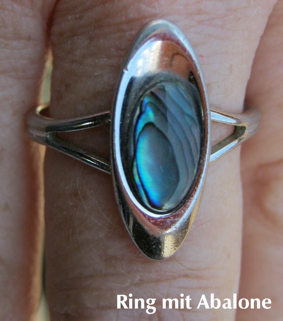 flohmarkt altenh.-ring-abalone29.05.008.jpg
