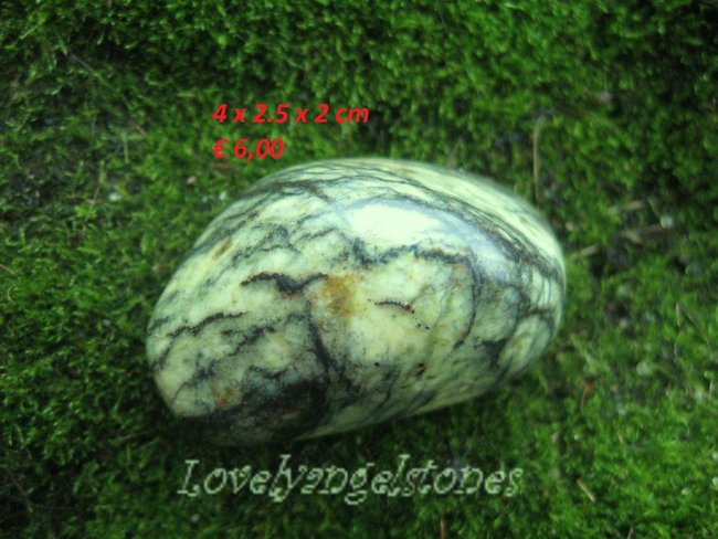 serpentijn4x2.5x2.jpg