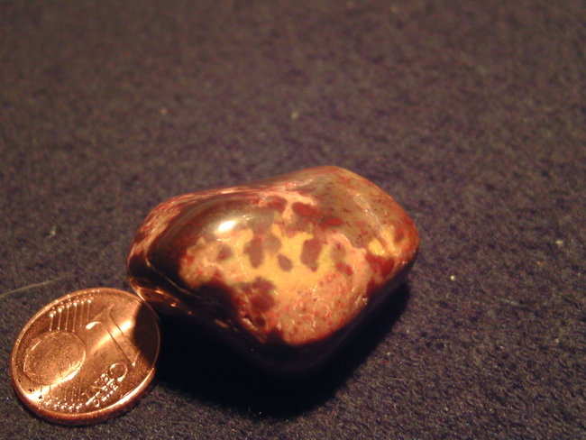 BILD0403.JPG
