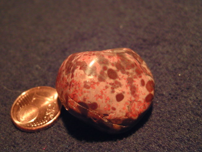 BILD0404.JPG