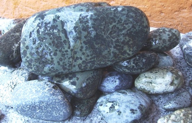 -- Gesammelte Werke ---