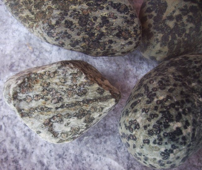 der links, den konnte ich  aufklopfen,  das Gestein ist allerdings  knallhart....