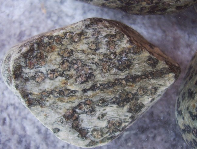 nochmal aus der Nähe