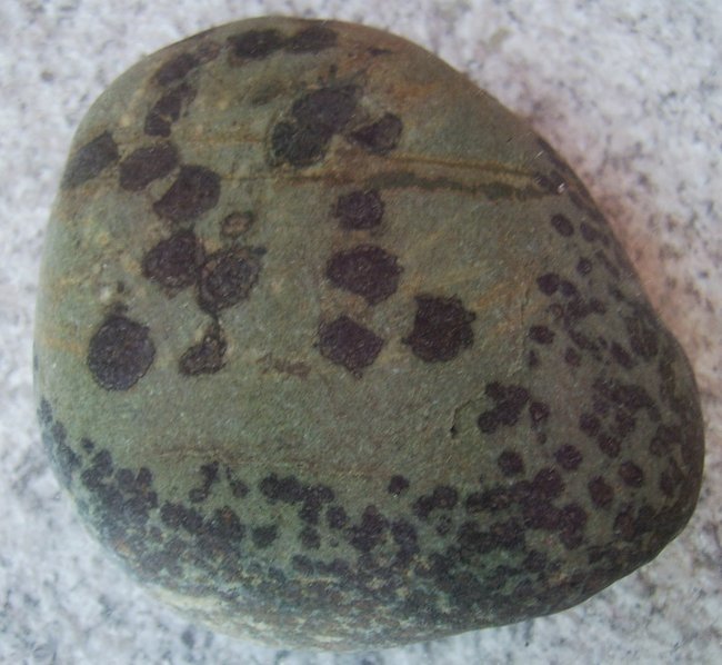 und der noch aus der  nähe.....