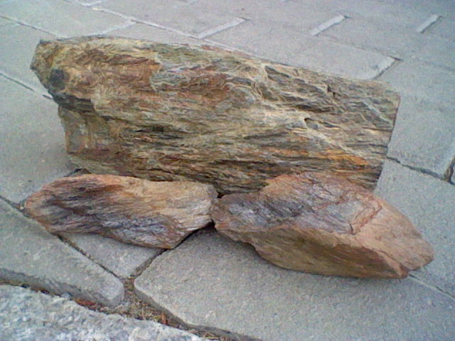 Neue Schätze 001.JPG