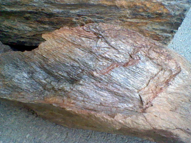 Neue Schätze 002.JPG