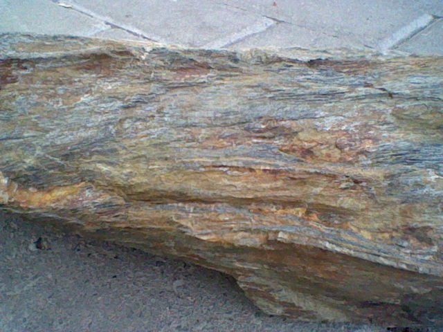 Neue Schätze 003.JPG