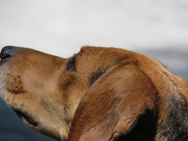 IMG_0880.JPG (196.74 KiB) 9160 mal betrachtet Shirley