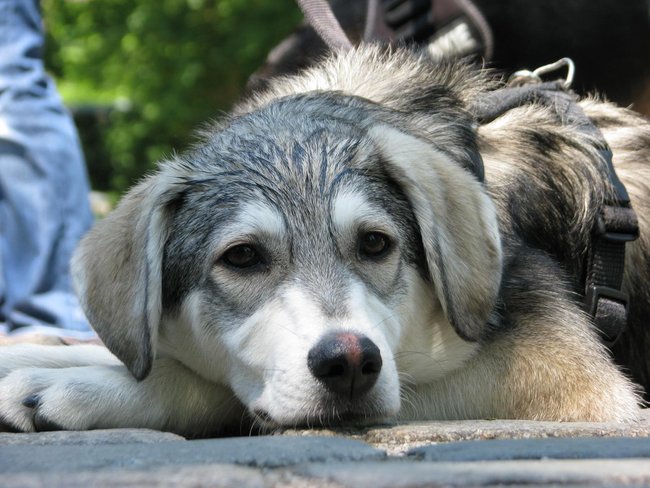 IMG_0886.JPG (263.22 KiB) 9160 mal betrachtet Bonita