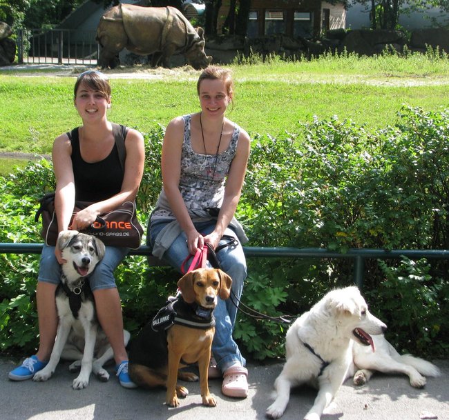 IMG_1033.JPG (321.15 KiB) 9160 mal betrachtet Alle