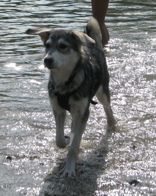 Bonita Wasser