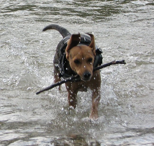 IMG_1045.JPG (712.64 KiB) 9145 mal betrachtet Shirley Wasser