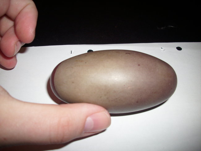 Rückseite von meinem ersten Shiva Lingam.