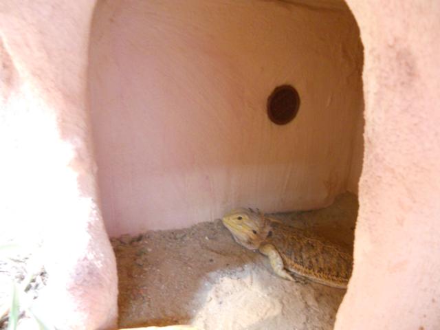 Höle und Lüftung.JPG