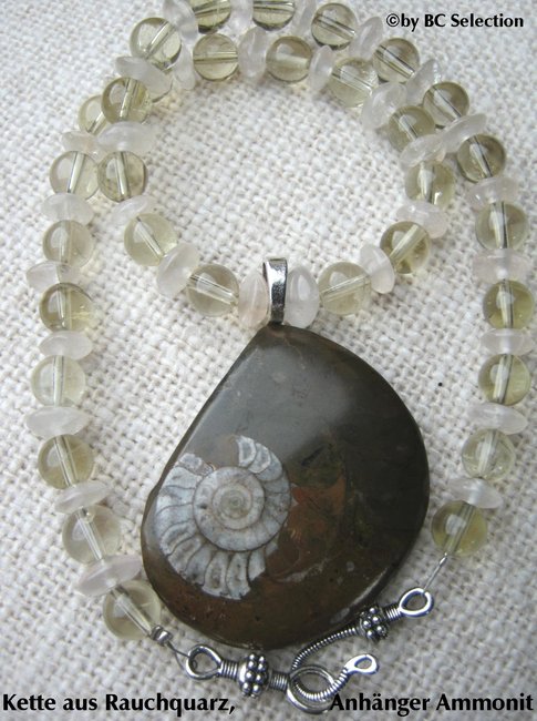 ammonit-kette005.jpg