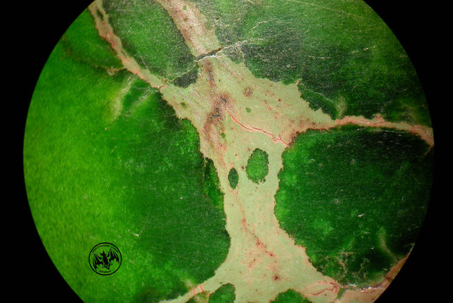 Matrix Sea sediment jasper