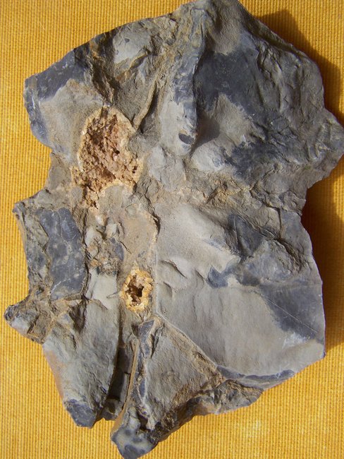 Muschelkalk mit Calcitrasen