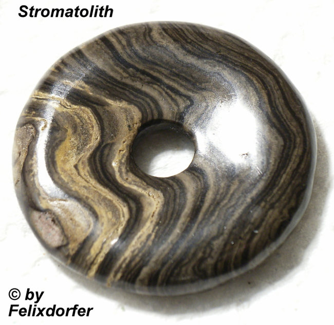 Stromatolith mit sehr schöner Zeichnung
