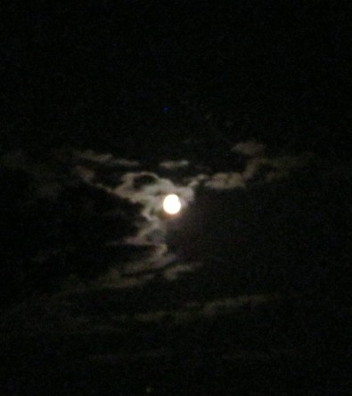 vollmond august 006.jpg