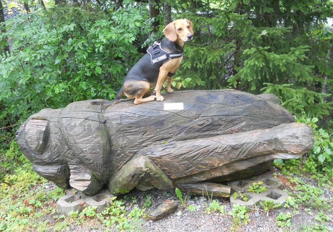 Shirley auf dem Schnitzerweg