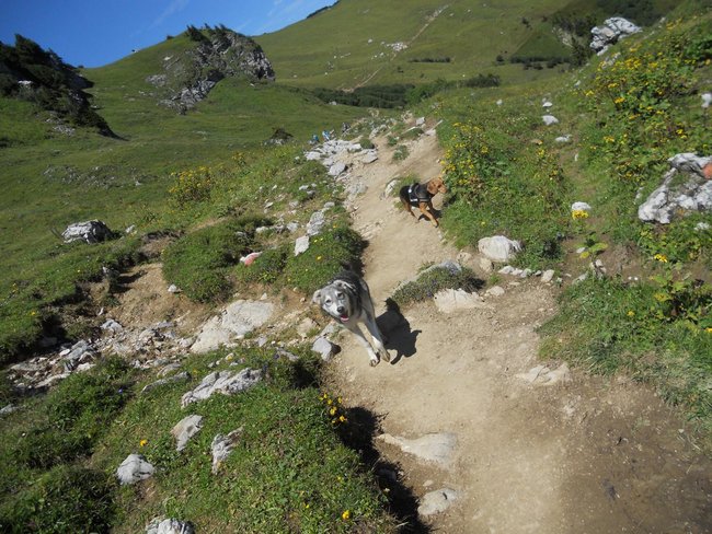 Wanderweg