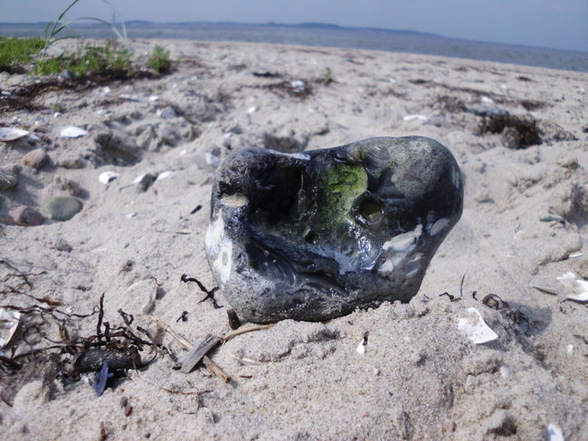 Ostsee.jpg