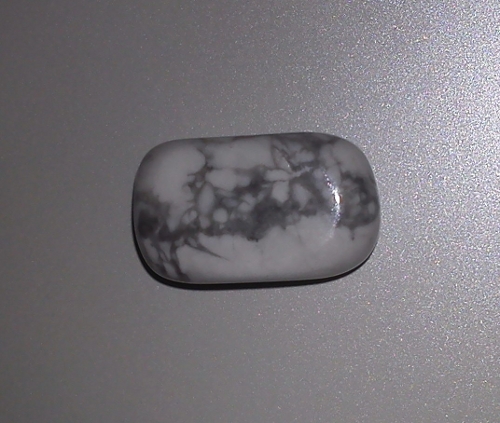 DSC00304.jpg