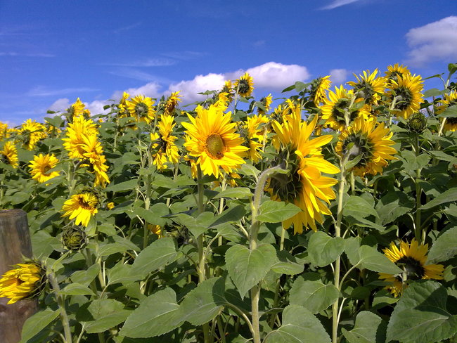 10092011057.jpg