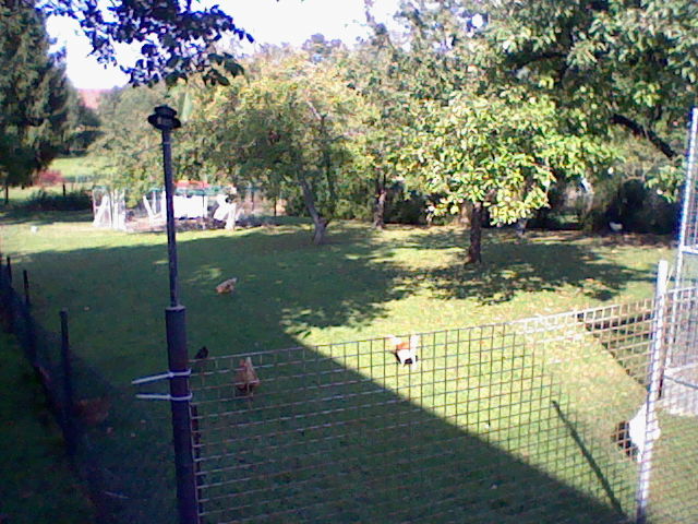 Freilaufanlage