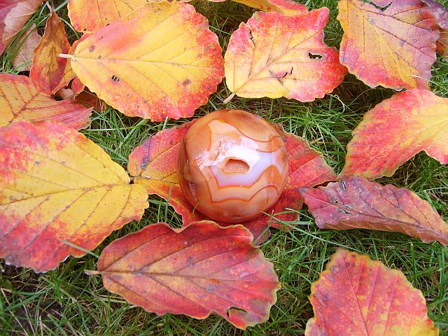 Herbst.jpg