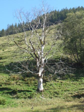 wanderung Gunzesriedertal 004.jpg