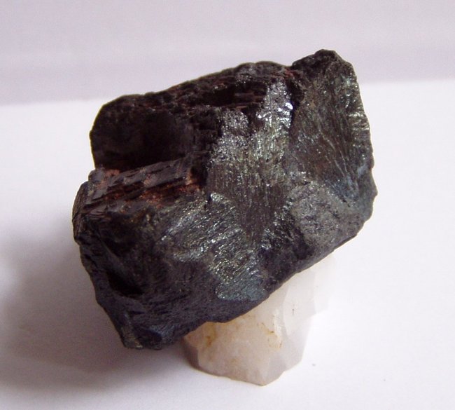 unbekannt Bild 3    1,9cm hoch