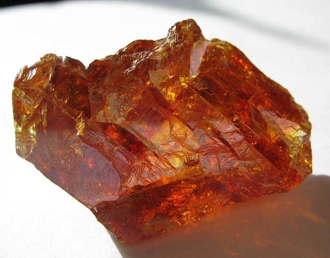 Honigblende4.JPG