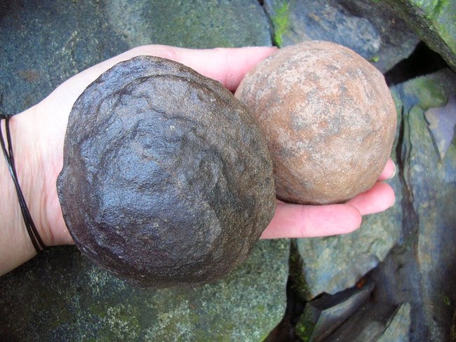 ... hier sind sie in meiner Hand