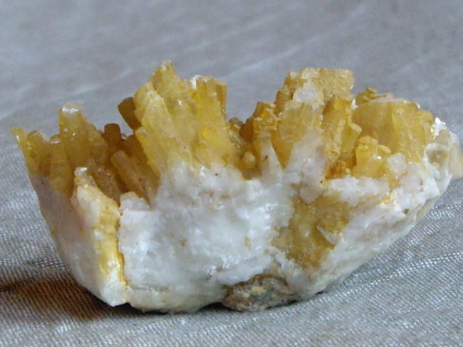 IMGP3718.JPG