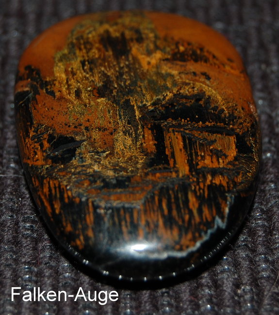 Falken-Auge