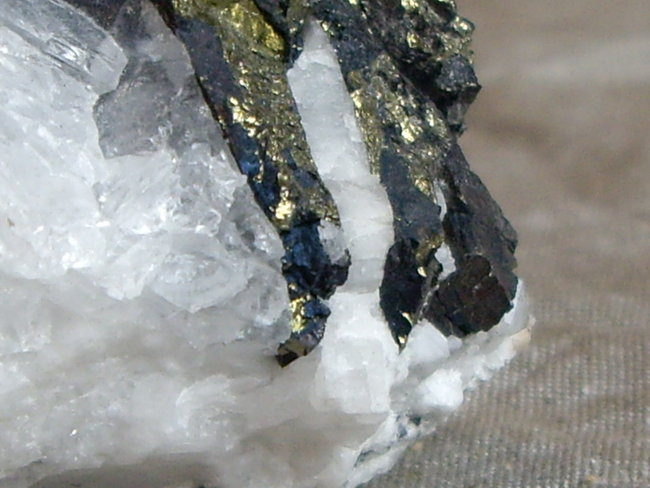 IMGP3698.JPG
