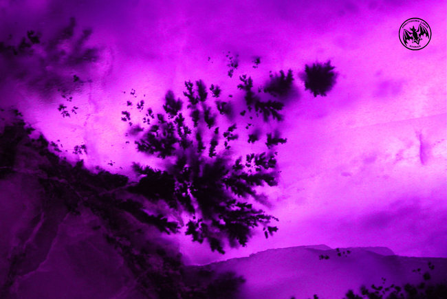 Dendriten im violetten Chalcedon