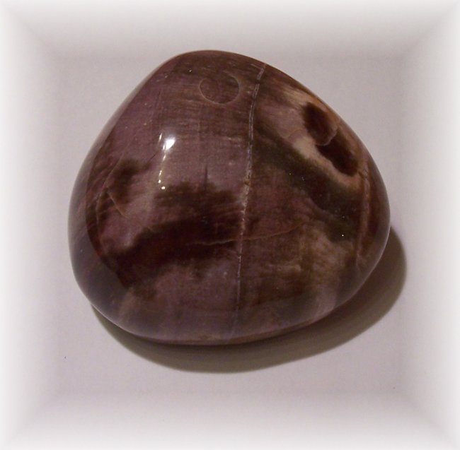 Holz_Madagaskar68.JPG