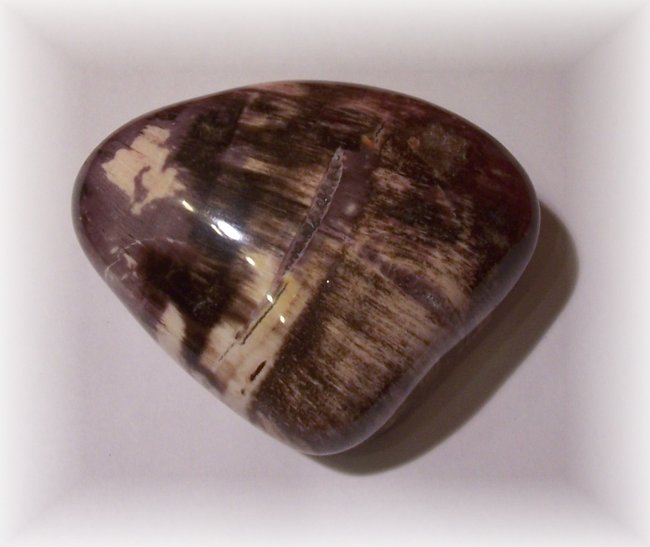 Holz_Madagaskar69.JPG