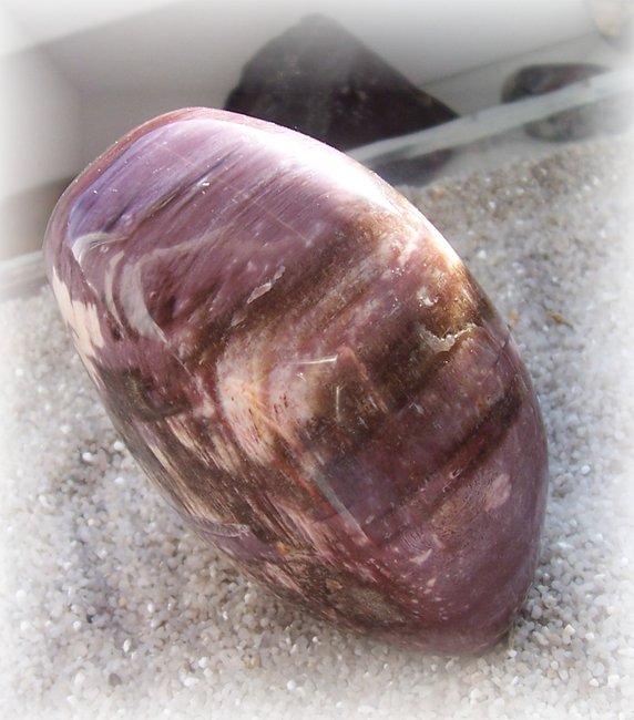 Holz_Madagaskar87.JPG