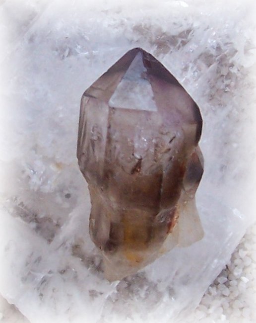 Zepter98.JPG