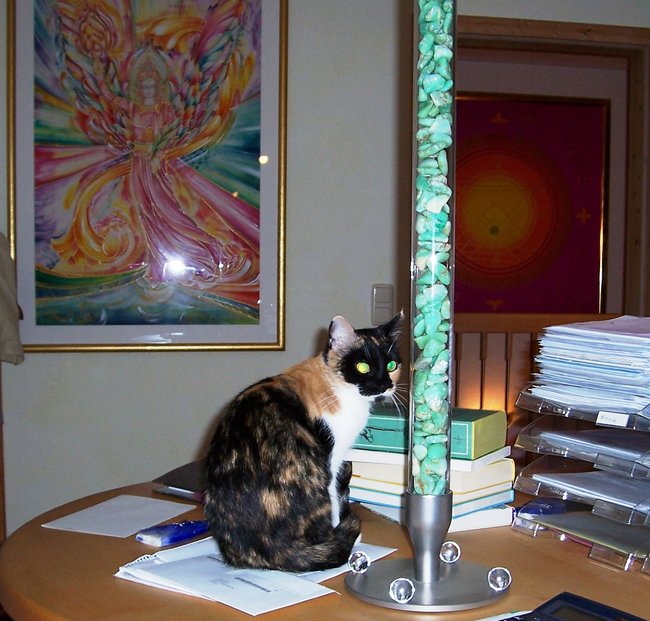 Tinkerbelle_vor_dem_Meditationsstab