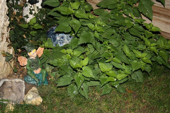 Gartenelf mit Kumpel.jpg