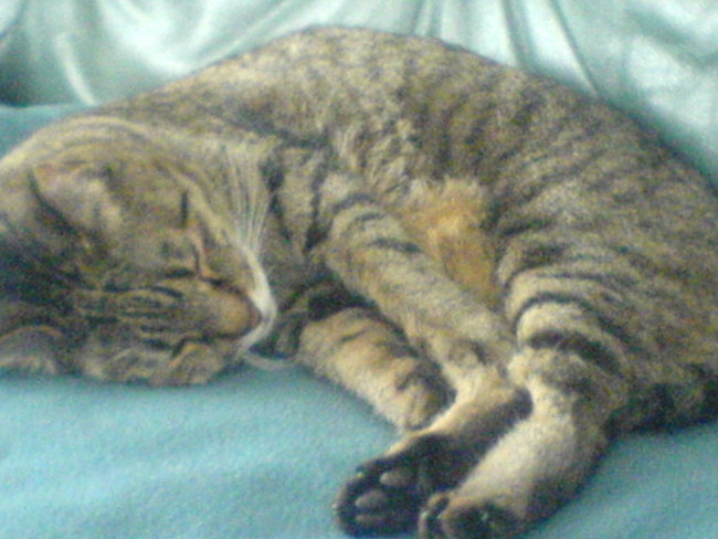 tinka